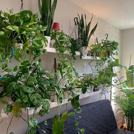 ニューヨークUrban Jungle Oasis In Queens!アパートメント エクステリア 写真