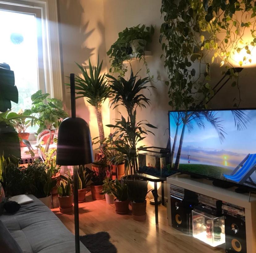 ニューヨークUrban Jungle Oasis In Queens!アパートメント エクステリア 写真