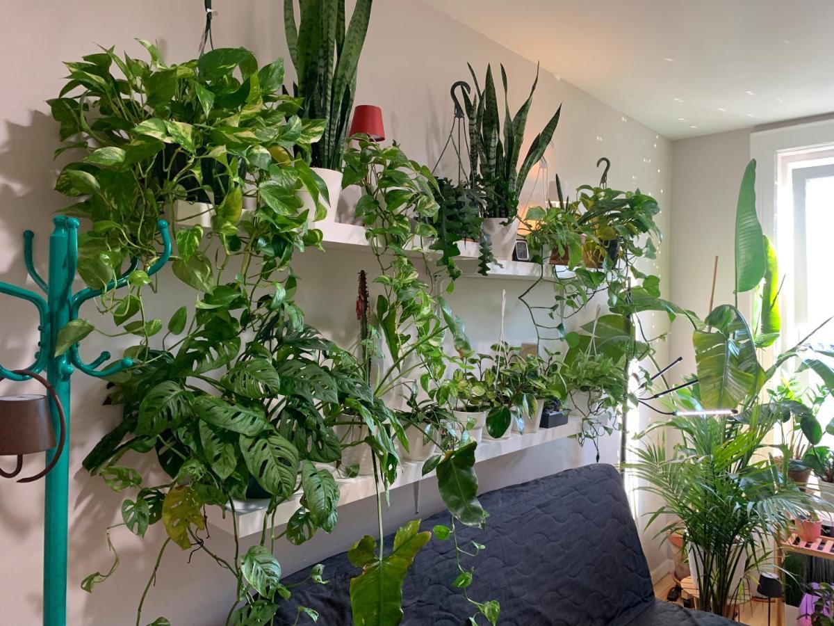 ニューヨークUrban Jungle Oasis In Queens!アパートメント エクステリア 写真